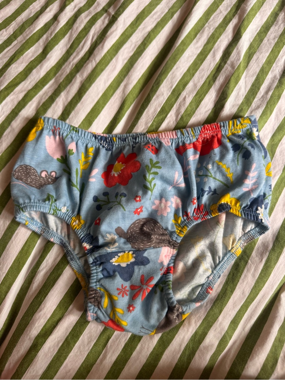 Mini Boden bloomers (or diaper cover) a whimsical all-over  wild garden flowers